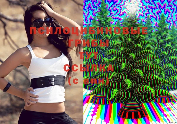 каннабис Тобольск