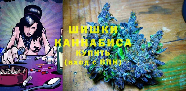 сатива Тайга
